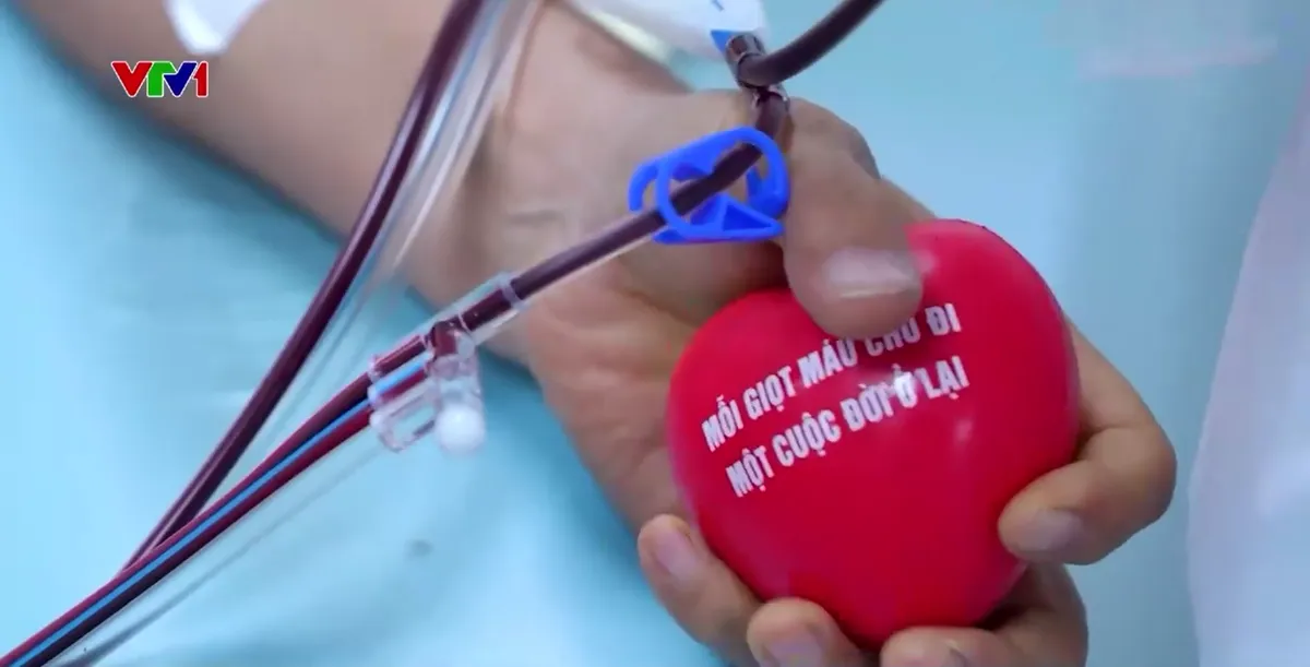 &ldquo;Cho đi l&agrave; c&ograve;n m&atilde;i&rdquo;: 17 năm hiến m&aacute;u kh&ocirc;ng ngừng của c&ocirc; gi&aacute;o Hưng Y&ecirc;n - Ảnh 3.