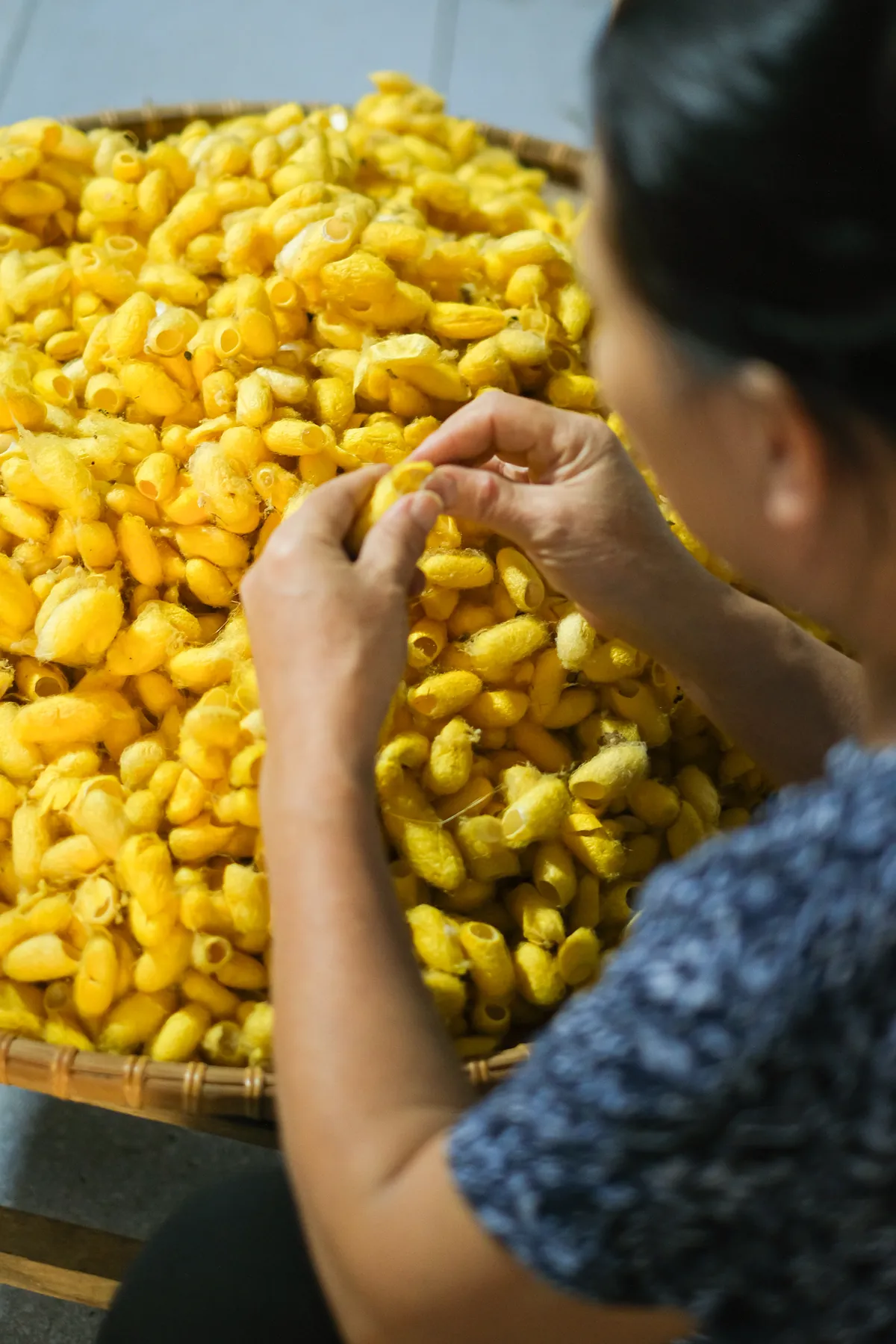 Tằm tự dệt tơ - Nghệ thuật từ những nong k&eacute;n Ph&ugrave;ng X&aacute; - Ảnh 8.