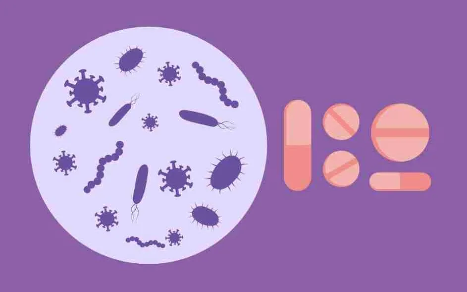 Hình minh họa: Pepermpron