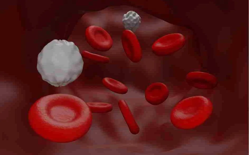 Ảnh minh họa: Canva