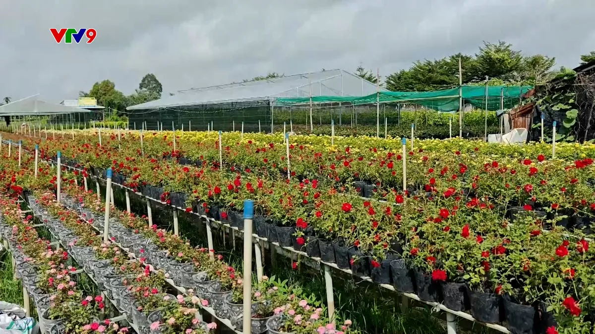 Niềm vui đón nhận di sản văn hóa phi vật thể của người dân làng hoa Sa Đéc