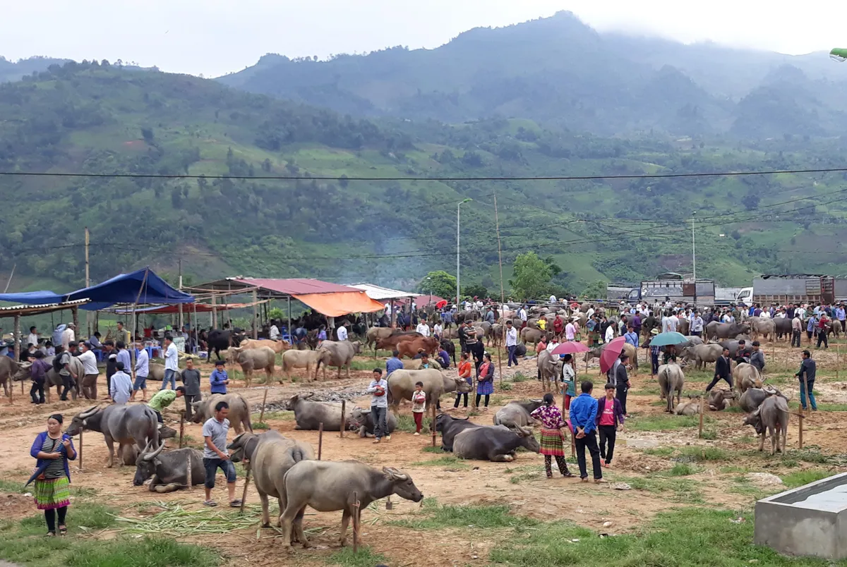 Hồn cốt v&ugrave;ng cao: Chợ phi&ecirc;n v&agrave; bản sắc văn h&oacute;a độc đ&aacute;o của đồng b&agrave;o d&acirc;n tộc thiểu số- Ảnh 3.