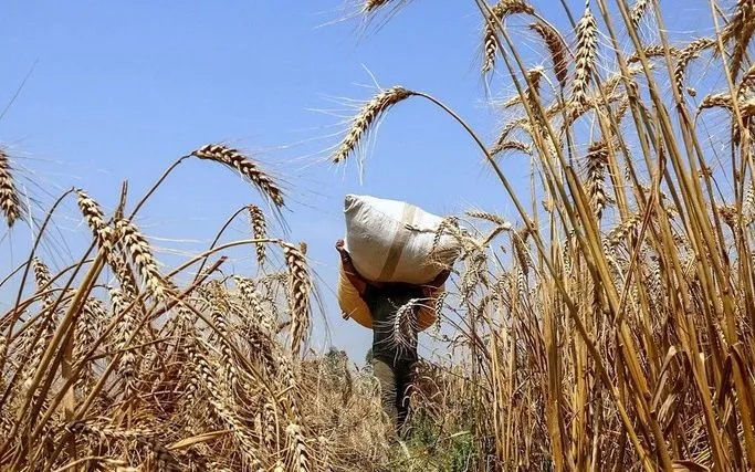 Ảnh minh họa. (Ảnh: ANI/TTXVN)