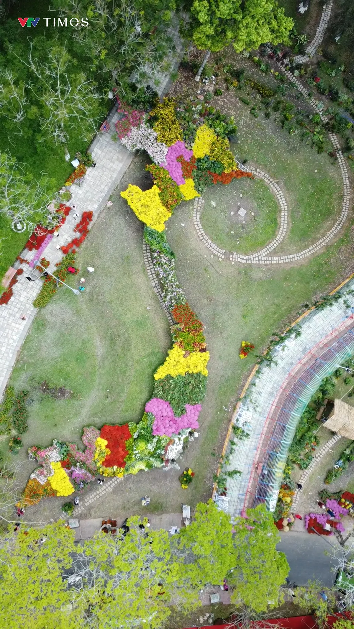 Hàng triệu bông hoa khoe sắc tại Lễ hội Hoa – Kiểng Sa Đéc 2025- Ảnh 3. Hàng triệu bông hoa khoe sắc tại Lễ hội Hoa – Kiểng Sa Đéc 2025- Ảnh 3.