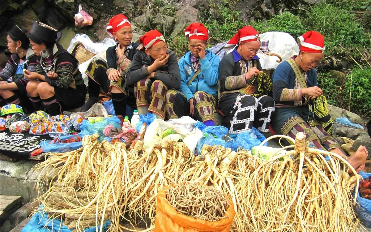 Chợ phiên không chỉ là nơi trao đổi hàng hóa mà còn là ngày hội văn hóa. Khám phá nét đặc trưng của các chợ phiên nổi tiếng như Bắc Hà, Mèo Vạc và cách bảo tồn nét đẹp này.