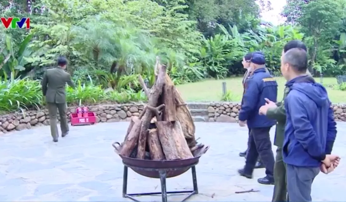 Nguy cơ ch&aacute;y rừng từ việc đốt lửa trại- Ảnh 1.