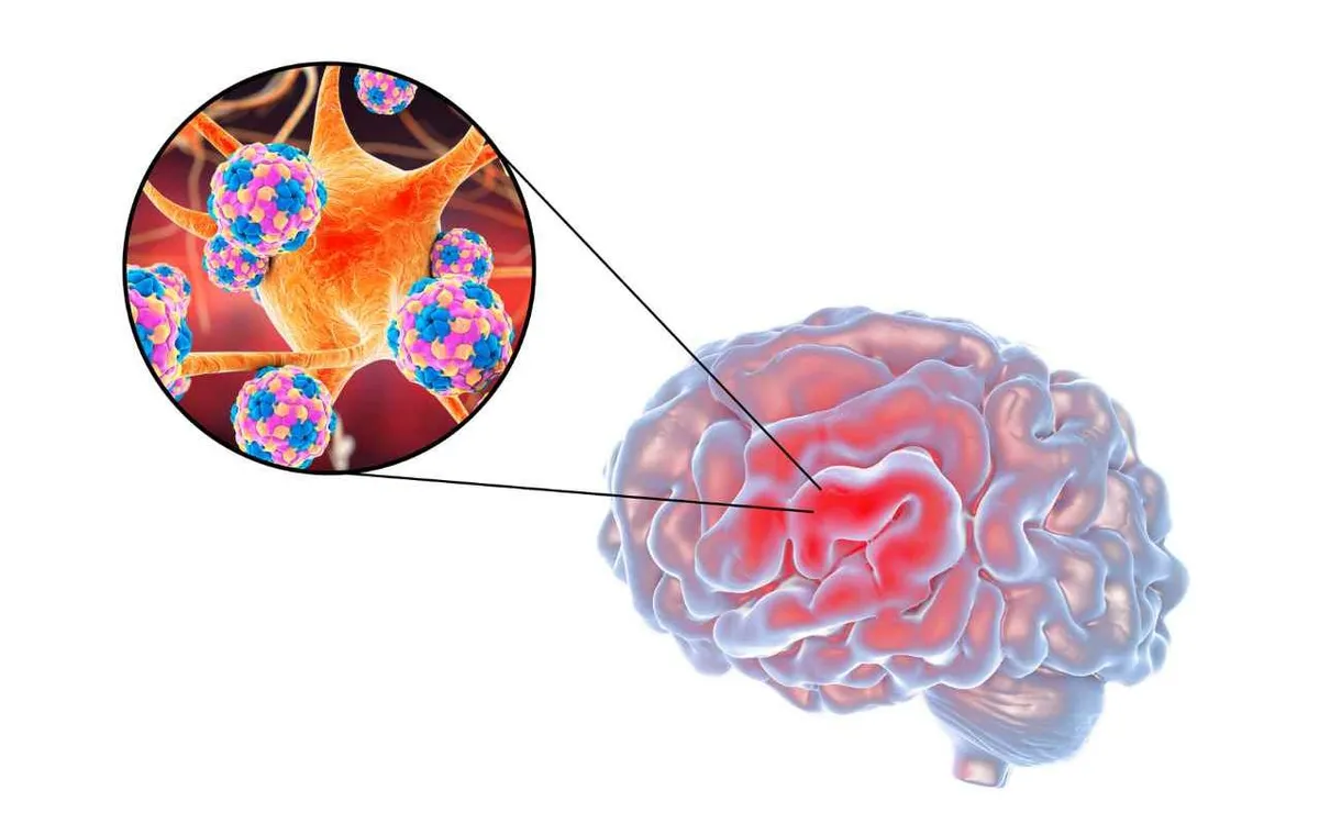Hình minh họa: Science Photo Library