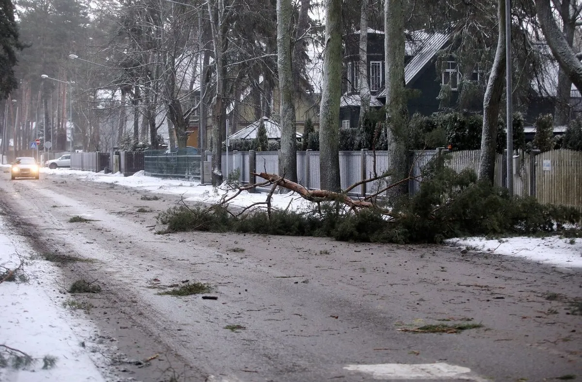 Một số nước châu Âu thiệt hại nặng nề bởi thời tiết cực đoan - Ảnh 2.