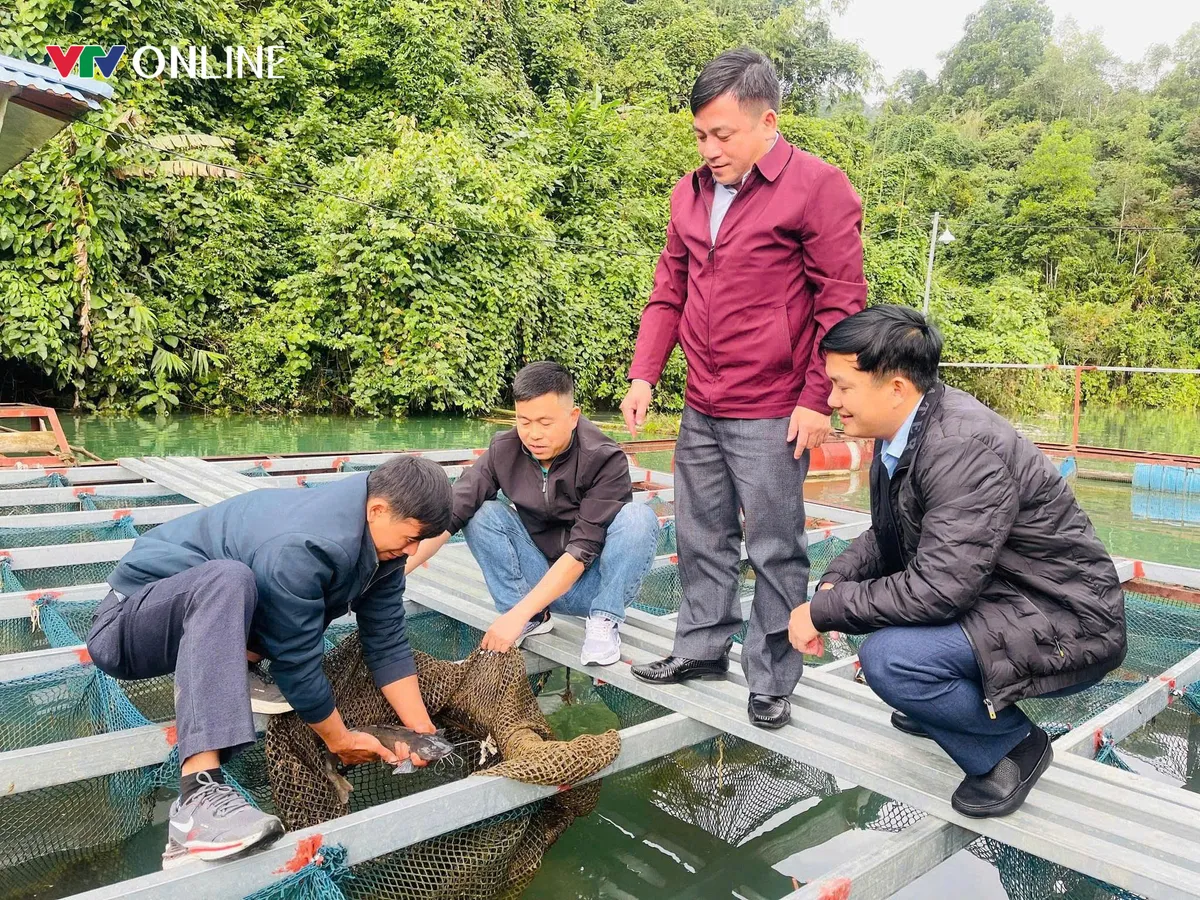 Thuận H&ograve;a (Tuy&ecirc;n Quang): Chuyển đổi c&acirc;y trồng, vật nu&ocirc;i gi&uacute;p hộ ngh&egrave;o v&agrave; đồng b&agrave;o d&acirc;n tộc cải thiện sinh kế - Ảnh 3.