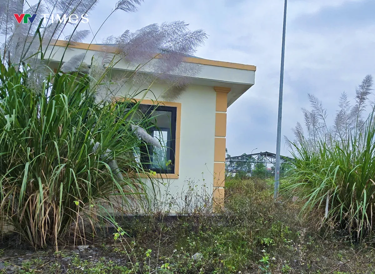 Nghệ An: Khẩn trương bố tr&iacute; nguồn lực, đưa dự &aacute;n trung t&acirc;m y tế v&agrave;o hoạt động - Ảnh 1.