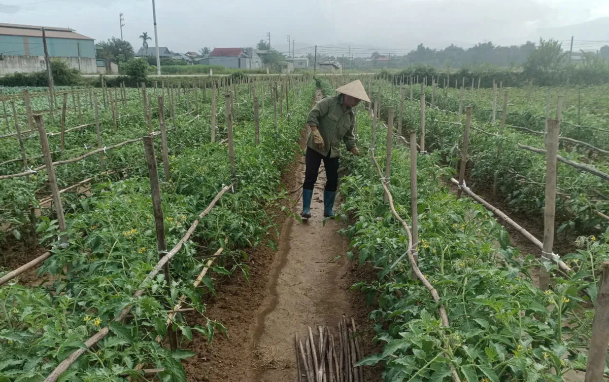 Điện Bi&ecirc;n: Linh hoạt đưa Nghị quyết của Đảng v&agrave;o cuộc sống - Ảnh 1.