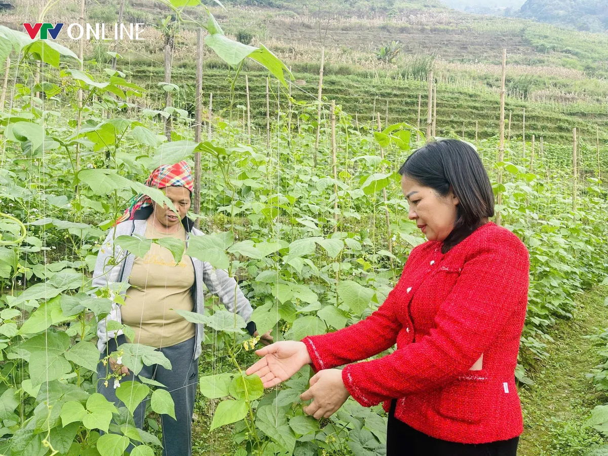Thuận H&ograve;a (Tuy&ecirc;n Quang): Chuyển đổi c&acirc;y trồng, vật nu&ocirc;i gi&uacute;p hộ ngh&egrave;o v&agrave; đồng b&agrave;o d&acirc;n tộc cải thiện sinh kế - Ảnh 2.