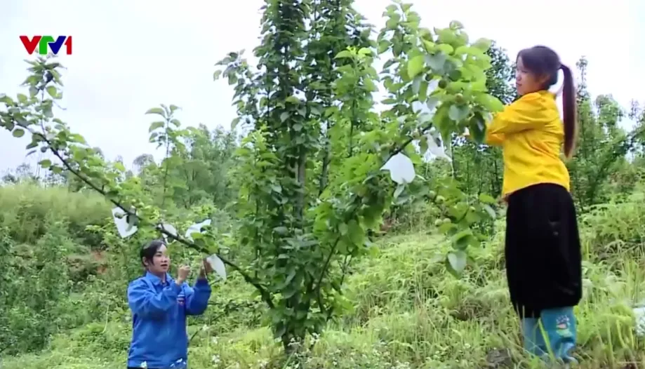 Từ giảm nghèo còn 1% đến cơ bản không còn hộ nghèo - Ảnh 2.