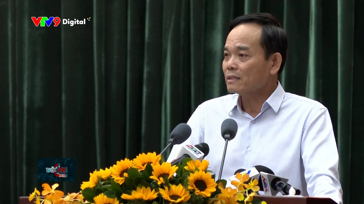 tc24h-3012-3 trần lưu quang.jpg