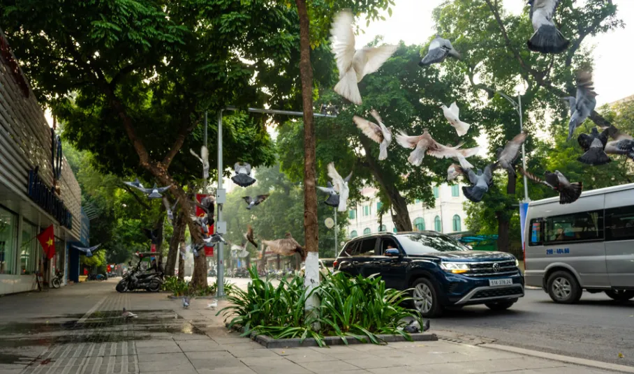 H&agrave; Nội thanh b&igrave;nh ng&agrave;y đầu năm mới 2026 - Ảnh 2.