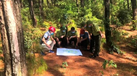 Gi&aacute;m s&aacute;t rừng bằng "mắt thần": Bước đột ph&aacute; trong bảo tồn đa dạng sinh học tại c&aacute;c vườn quốc gia- Ảnh 1.