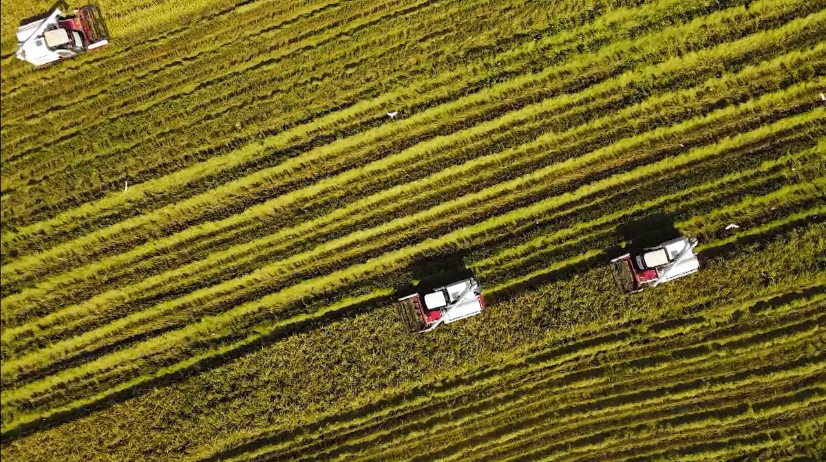 PTL "Cuba - Việt Nam: Anh em từ sự lựa chọn": Tập 4 - Hạt giống của tương lai (22h, VTV9) - Ảnh 2.