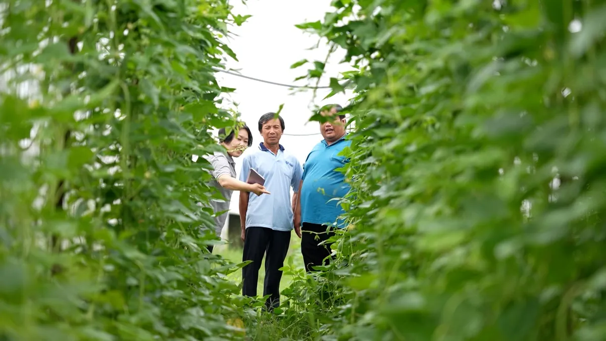 Việt Nam - Đến và Yêu: Khi những người ngoại quốc chọn mảnh đất hình chữ S để gửi gắm khát vọng- Ảnh 1. Việt Nam - Đến và Yêu: Khi những người ngoại quốc chọn mảnh đất hình chữ S để gửi gắm khát vọng- Ảnh 1.