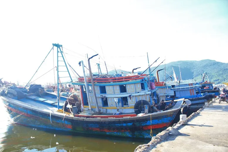 Dẹp bỏ IUU: Từ hành động thực chất đến kết quả thực chất - Ảnh 1.