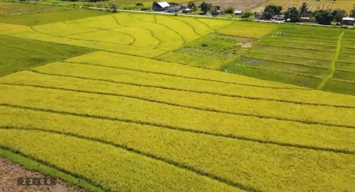 Ba trụ cột hợp t&aacute;c l&agrave;m n&ecirc;n nền tảng 65 năm quan hệ Việt Nam - Cuba - Ảnh 7.