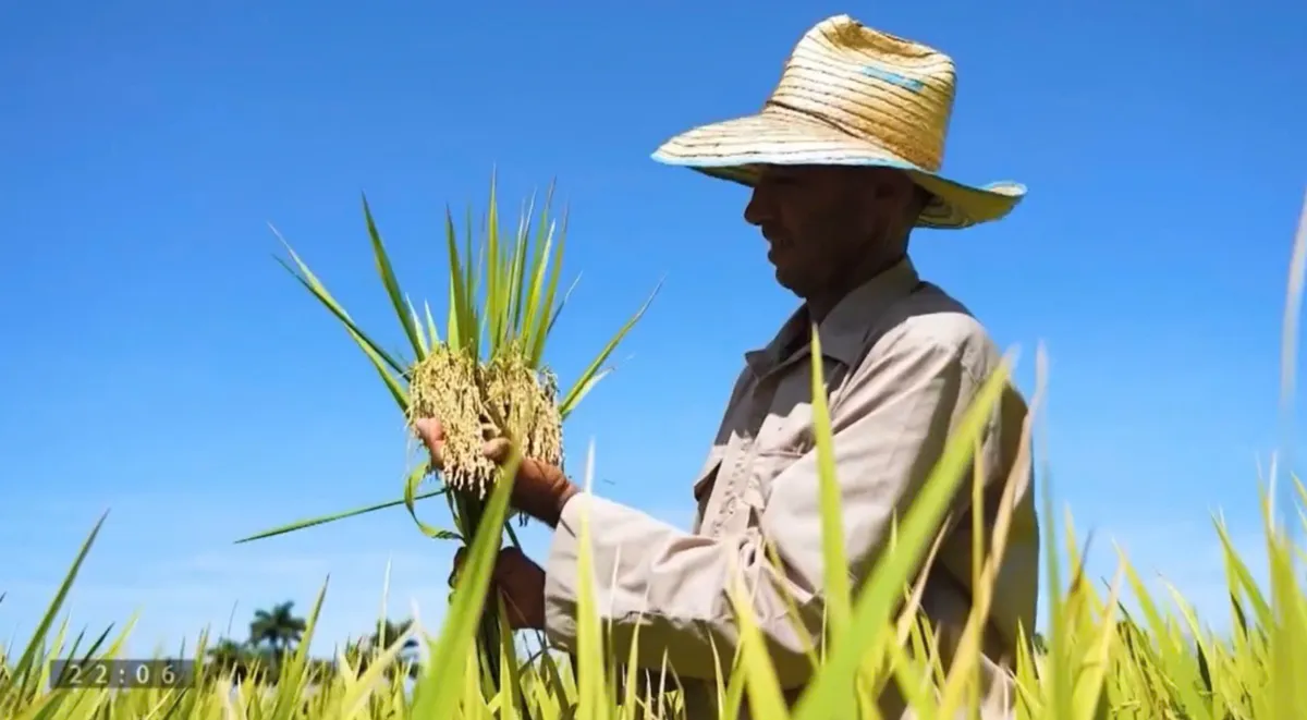 Ba trụ cột hợp t&aacute;c l&agrave;m n&ecirc;n nền tảng 65 năm quan hệ Việt Nam - Cuba - Ảnh 6.