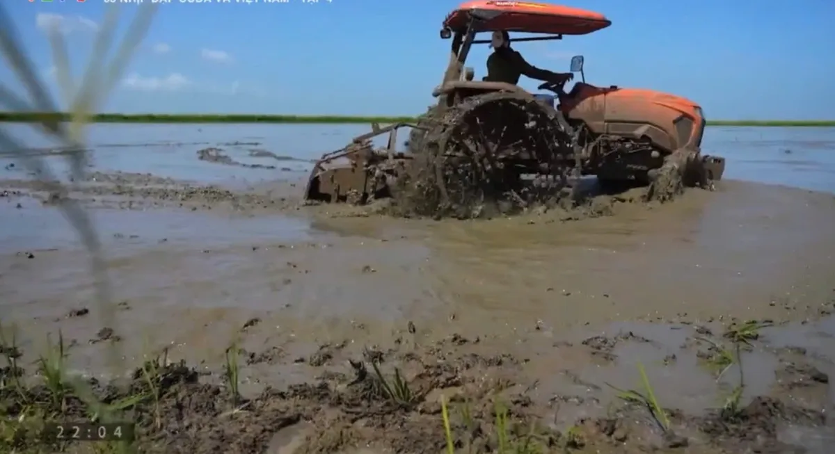 Ba trụ cột hợp t&aacute;c l&agrave;m n&ecirc;n nền tảng 65 năm quan hệ Việt Nam - Cuba - Ảnh 1.