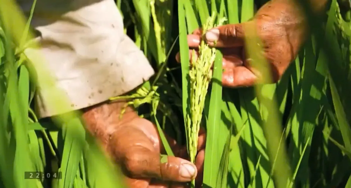 Ba trụ cột hợp t&aacute;c l&agrave;m n&ecirc;n nền tảng 65 năm quan hệ Việt Nam - Cuba - Ảnh 2.