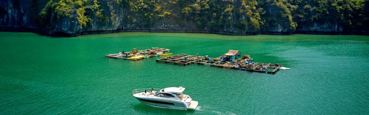 Du lịch Việt Nam khởi sắc với h&agrave;ng ngh&igrave;n kh&aacute;ch quốc tế 'mở h&agrave;ng' trong ng&agrave;y đầu năm 2026- Ảnh 2.