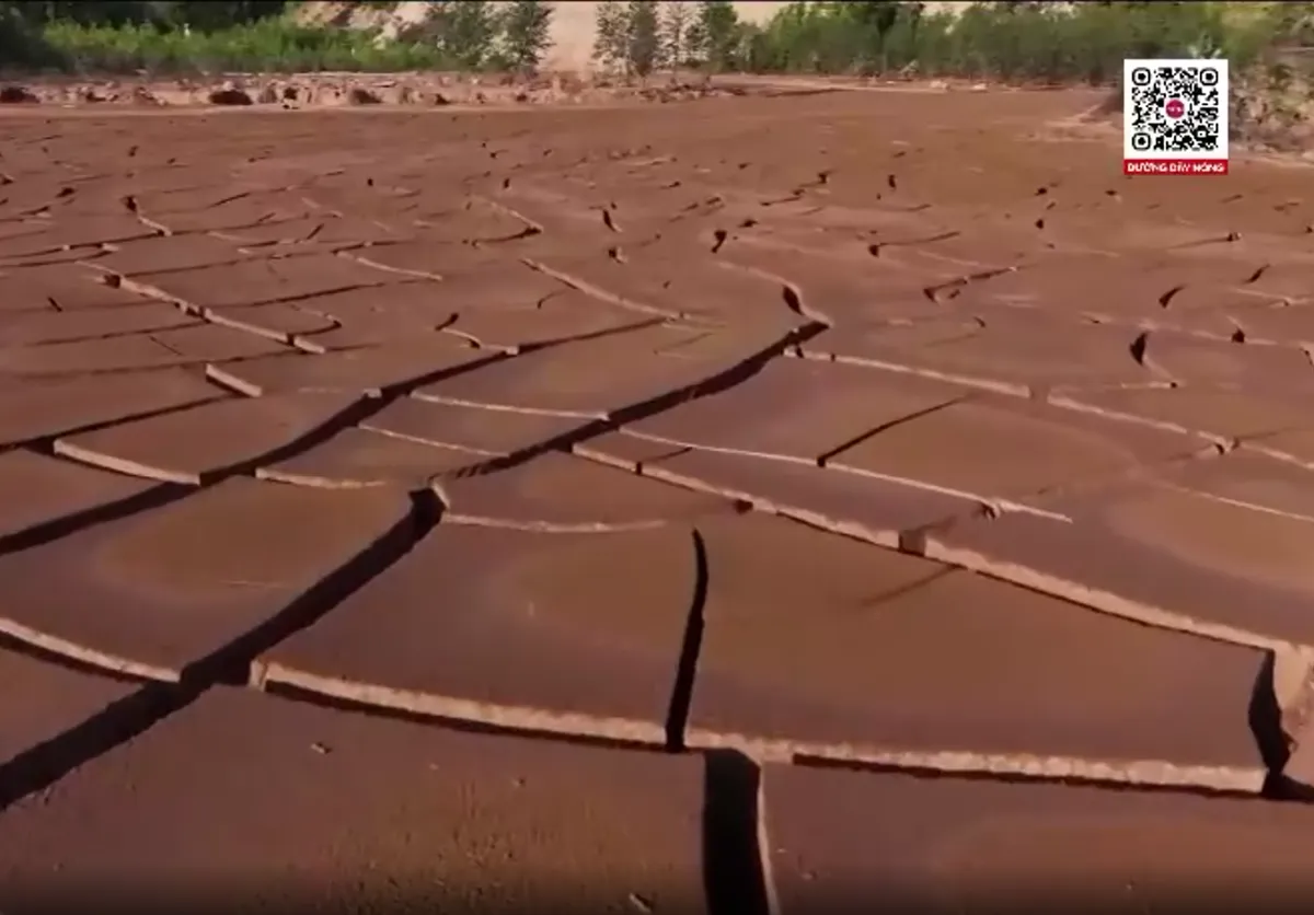 Thái Nguyên: Chậm trễ khắc phục hậu quả sự cố vỡ bể chứa bùn thải - Ảnh 2.