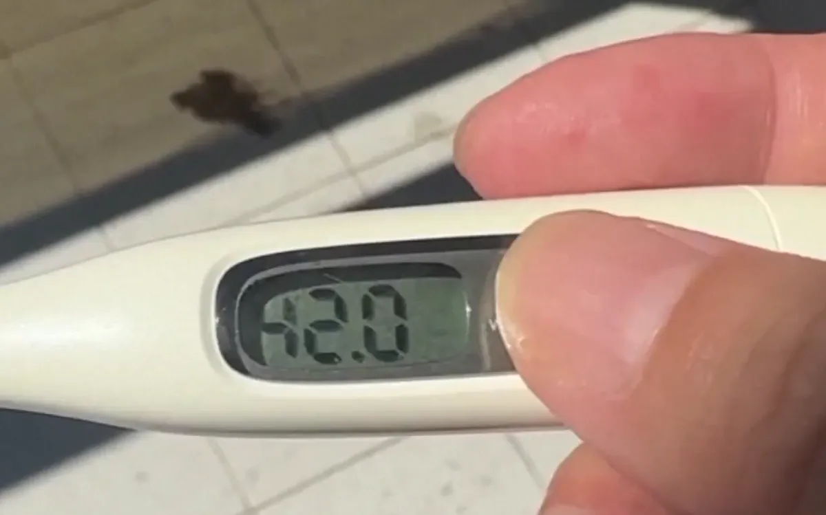 S&oacute;ng nhiệt tấn c&ocirc;ng Nam Mỹ dịp đầu năm mới- Ảnh 1.