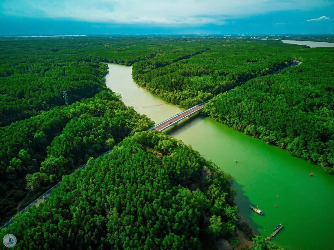 "L&aacute; phổi xanh" Cần Giờ: Những mật m&atilde; sinh tồn dưới triều d&acirc;ng- Ảnh 2.