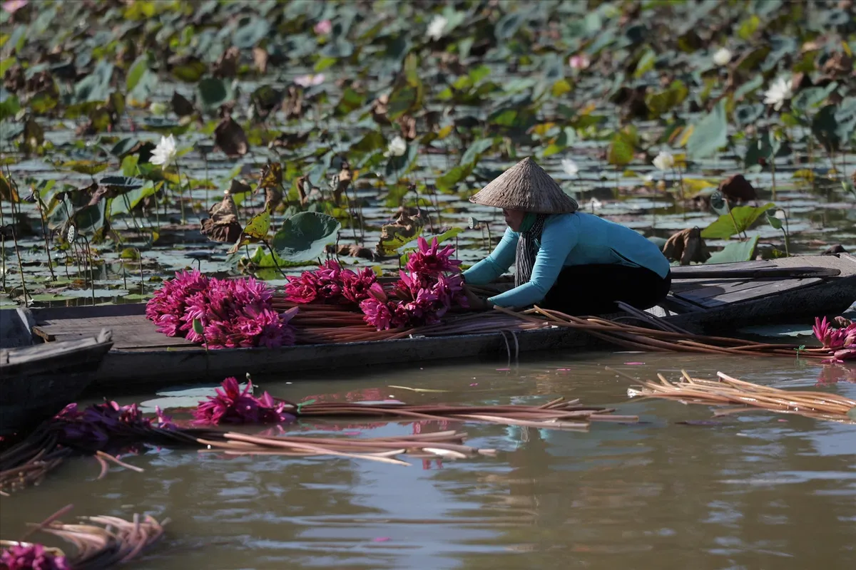 Chợ hoa Tết tr&ecirc;n s&ocirc;ng: Hồn cốt phương Nam bồng bềnh c&ugrave;ng s&oacute;ng nước- Ảnh 3.