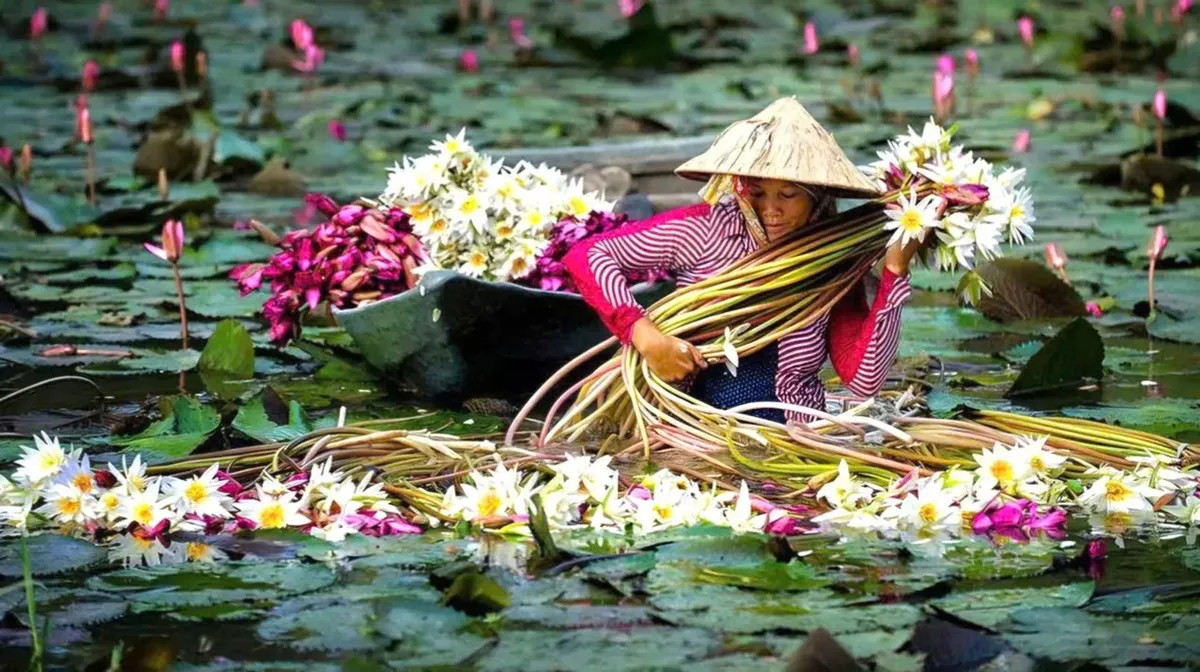 Chợ hoa Tết tr&ecirc;n s&ocirc;ng: Hồn cốt phương Nam bồng bềnh c&ugrave;ng s&oacute;ng nước- Ảnh 2.