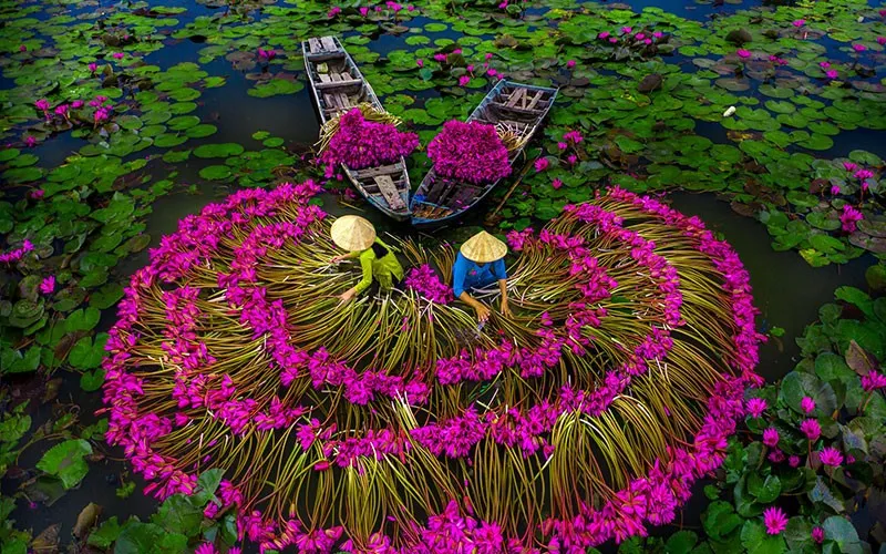 Chợ hoa Tết tr&ecirc;n s&ocirc;ng: Hồn cốt phương Nam bồng bềnh c&ugrave;ng s&oacute;ng nước- Ảnh 1.