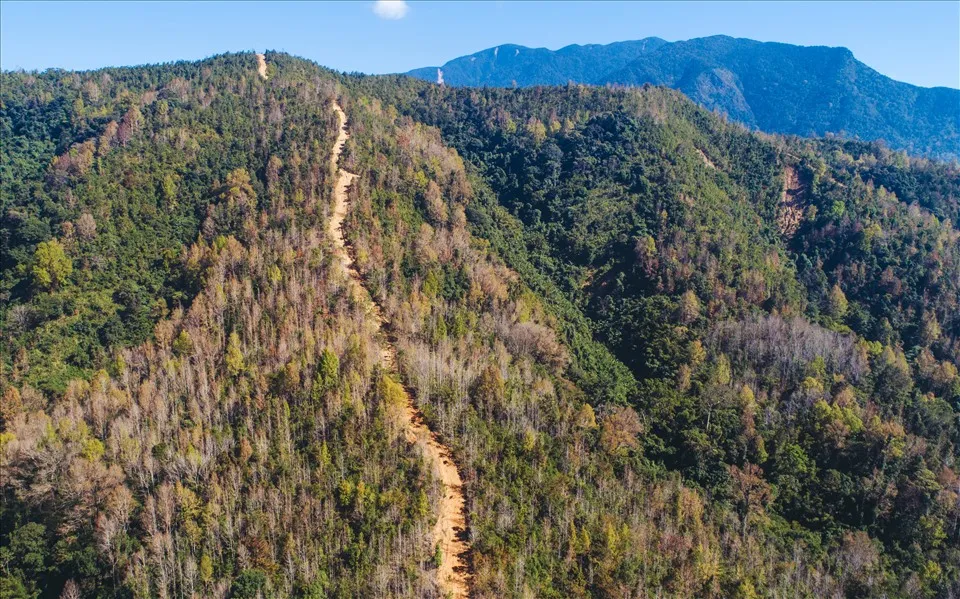Giữa đại ng&agrave;n nhiệt đới: Bản lĩnh sinh tồn v&agrave; lằn ranh của sự sợ h&atilde;i- Ảnh 2.