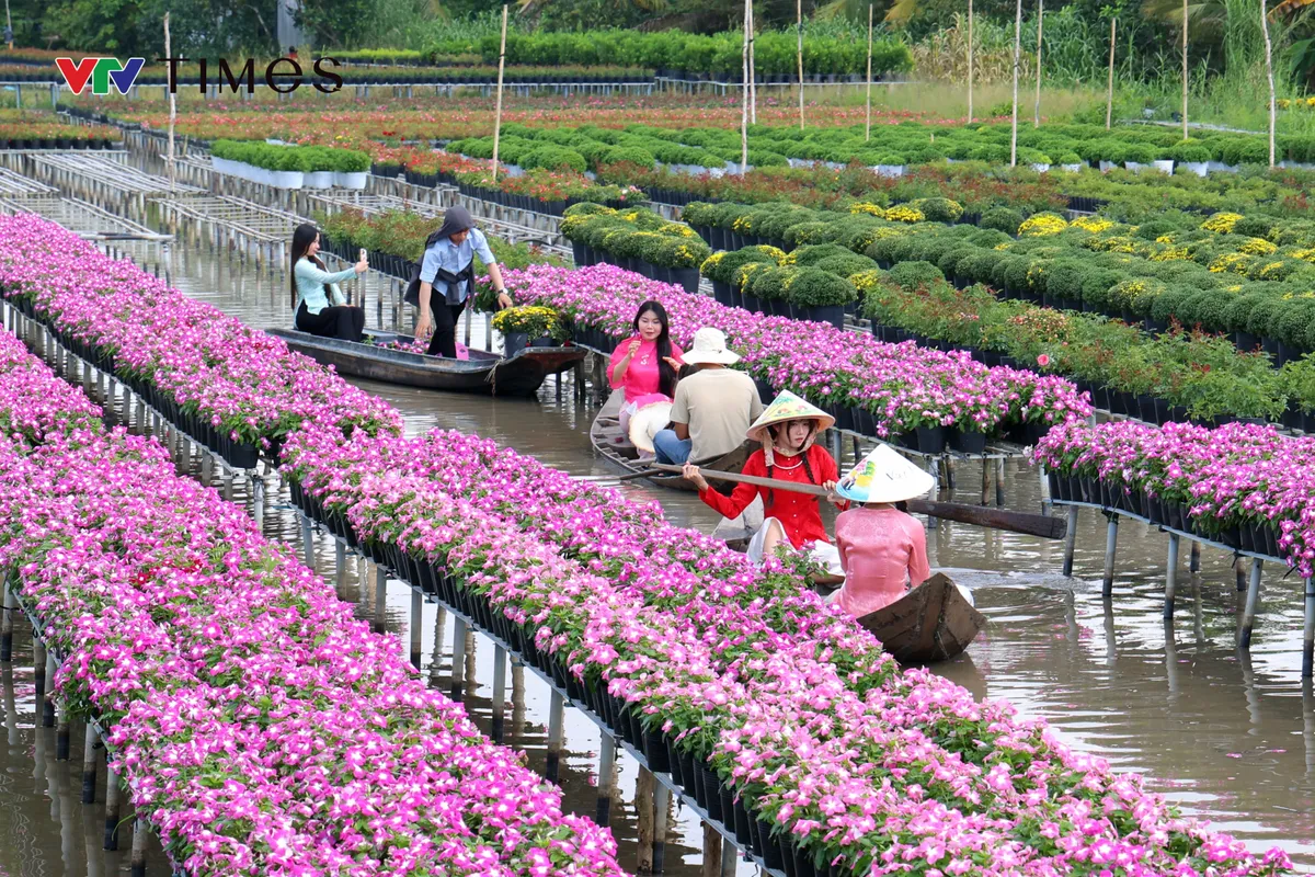 Đón năm mới 2026, làng hoa Sa Đéc hút khách với loạt trải nghiệm đặc sắc- Ảnh 10. Đón năm mới 2026, làng hoa Sa Đéc hút khách với loạt trải nghiệm đặc sắc- Ảnh 10.