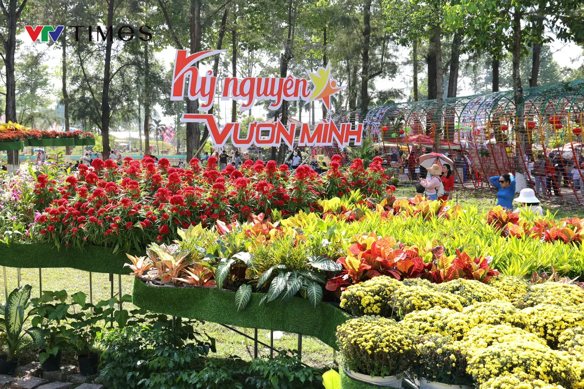 Đón năm mới 2026, làng hoa Sa Đéc hút khách với loạt trải nghiệm đặc sắc- Ảnh 5. Đón năm mới 2026, làng hoa Sa Đéc hút khách với loạt trải nghiệm đặc sắc- Ảnh 5.