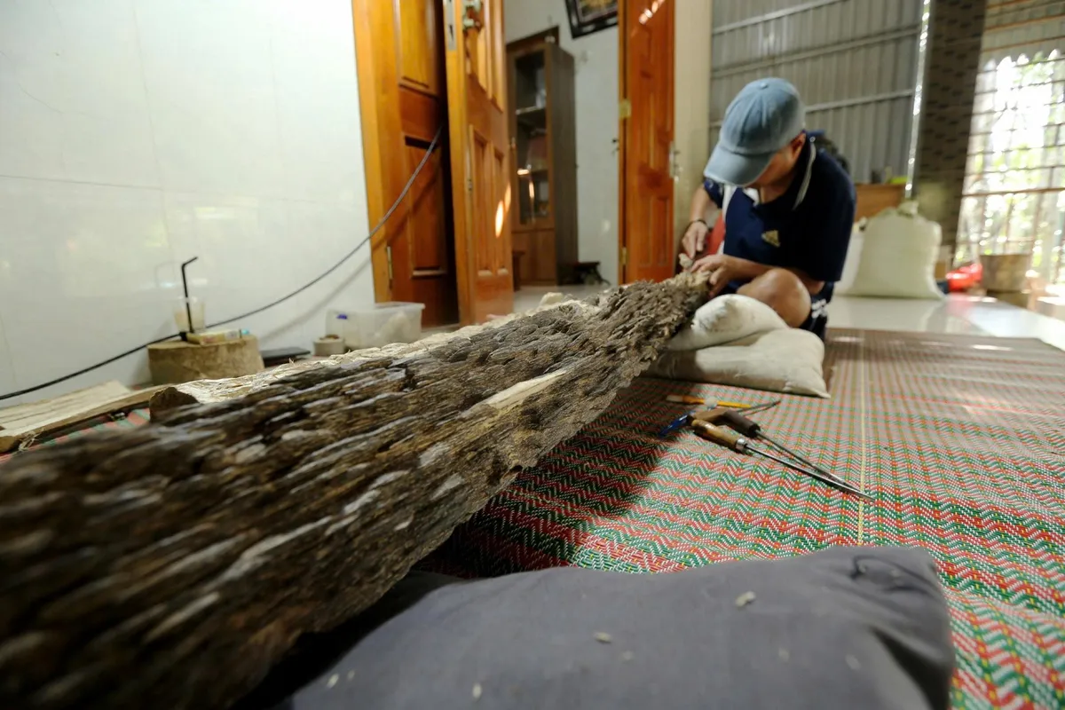 Ph&aacute;t hiện khối trầm tốc b&ocirc;ng tự nhi&ecirc;n nặng 15kg trị gi&aacute; hơn 1 tỷ đồng tại H&agrave; Tĩnh- Ảnh 1.