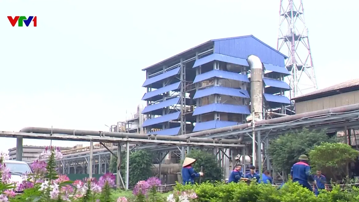 Bảo vệ m&ocirc;i trường, ph&aacute;t triển kinh tế xanh để ph&aacute;t triển bền vững - Ảnh 1.