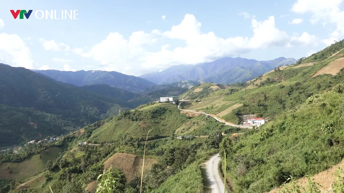 &ldquo;Tỷ ph&uacute; l&aacute; v&agrave;ng&rdquo; giữa đại ng&agrave;n Pa Ủ - Ảnh 3.