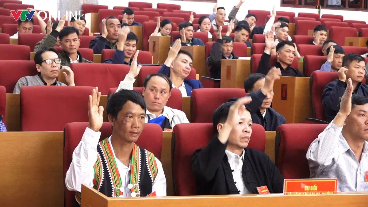 &ldquo;Tỷ ph&uacute; l&aacute; v&agrave;ng&rdquo; giữa đại ng&agrave;n Pa Ủ - Ảnh 4.