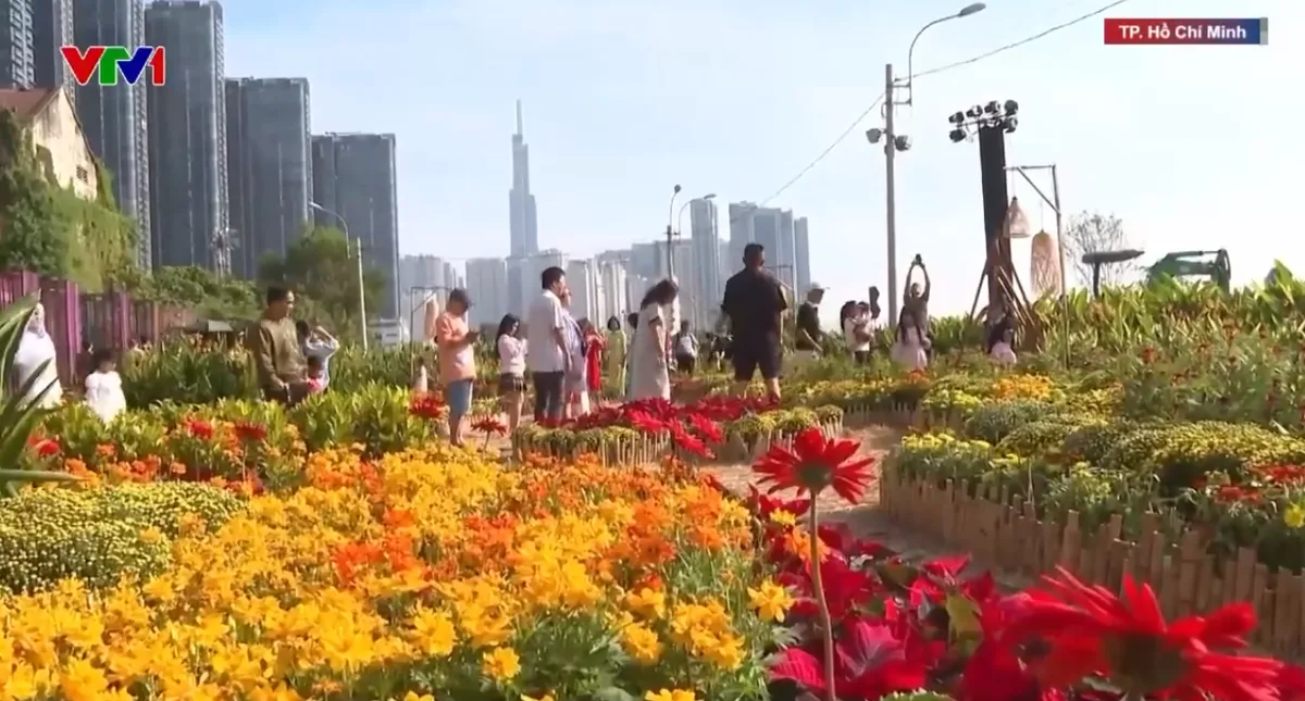 Vườn hoa Tết bên sông ở TP Hồ Chí Minh “gây sốt” dịp Tết Dương lịch- Ảnh 1. Vườn hoa Tết bên sông ở TP Hồ Chí Minh “gây sốt” dịp Tết Dương lịch- Ảnh 1.