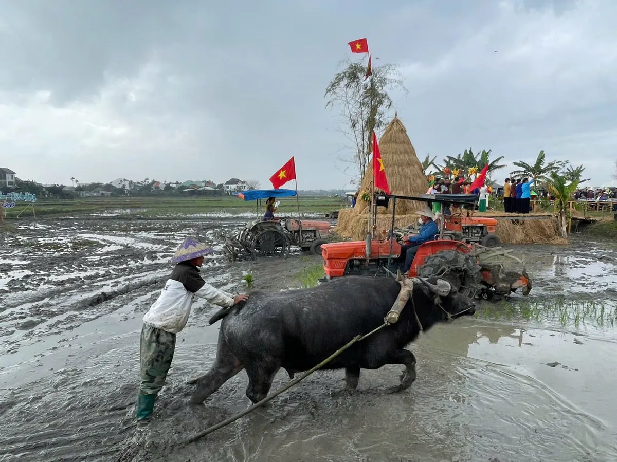 Đ&agrave; Nẵng: Kh&aacute;ch T&acirc;y h&agrave;o hứng cưỡi tr&acirc;u, "lội b&ugrave;n" cấy l&uacute;a tại Lễ hội xuống đồng 2026 - Ảnh 2.