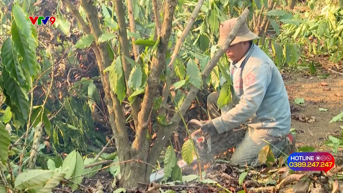 Alo V9 (05/01/2026): Công ty nhôm Lâm Đồng phản hồi việc thu hồi đất để khai khoáng