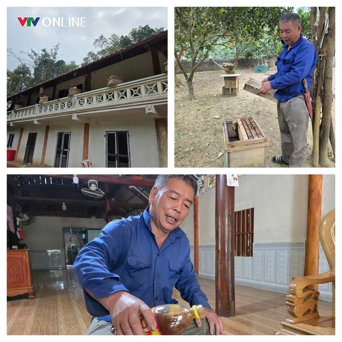 Xã Tân Sơn (Phú Thọ): Nỗ lực giảm nghèo bền vững vùng đồng bào dân tộc thiểu số - Ảnh 2.