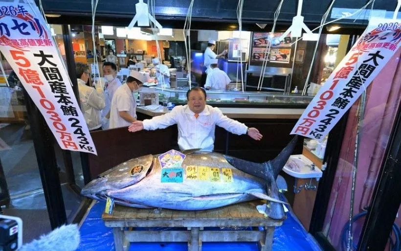 Một con cá ngừ vây xanh đã được bán với giá kỷ lục 510,3 triệu yen (khoảng 3,2 triệu USD). (Nguồn: Mainichi)