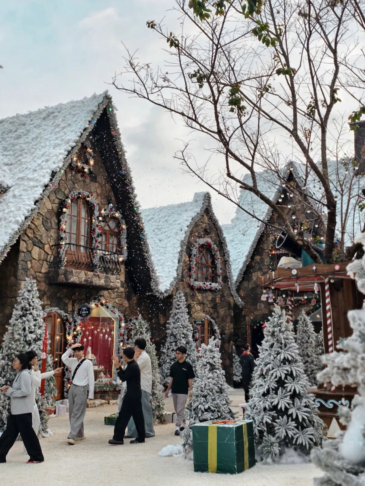 Tết Dương lịch 2026 tạo đà bứt phá cho du lịch Lâm Đồng- Ảnh 1. Tết Dương lịch 2026 tạo đà bứt phá cho du lịch Lâm Đồng- Ảnh 1.