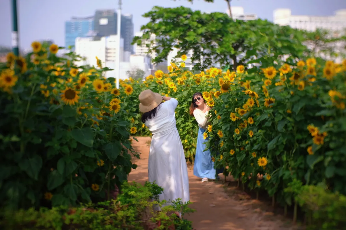 Những điểm check-in "ng&agrave;n hoa" h&uacute;t kh&aacute;ch ở TP Hồ Ch&iacute; Minh- Ảnh 7.