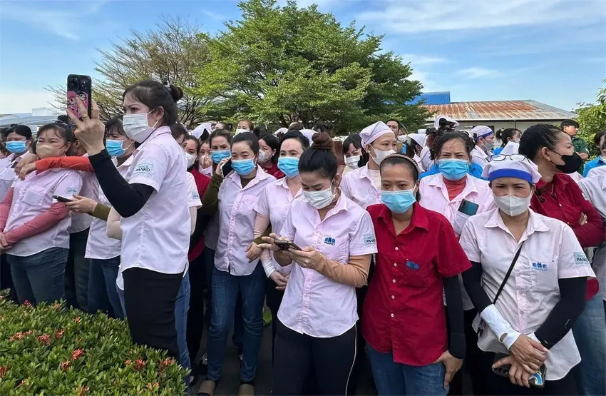 TP.HCM kết nối việc làm và đảm bảo quyền lợi cho hơn 2.700 lao động tại Công ty Panko Vina- Ảnh 1. TP.HCM kết nối việc làm và đảm bảo quyền lợi cho hơn 2.700 lao động tại Công ty Panko Vina- Ảnh 1.