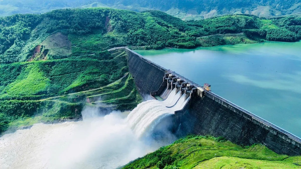 Hệ sinh th&aacute;i b&iacute; ẩn dưới đ&aacute;y hồ thủy điện: Những c&aacute;nh rừng ch&igrave;m v&agrave; sự th&iacute;ch nghi của sự sống- Ảnh 2.